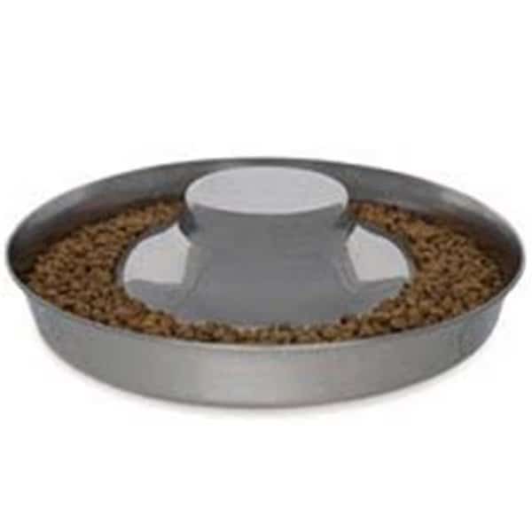 Puppy Dish 14.5 In