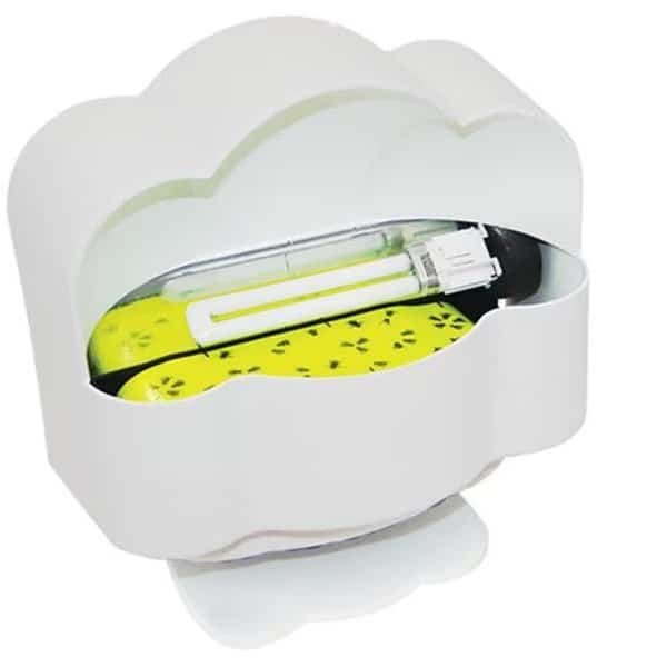 Paraclipse 250708 Fruit Fly Patrol