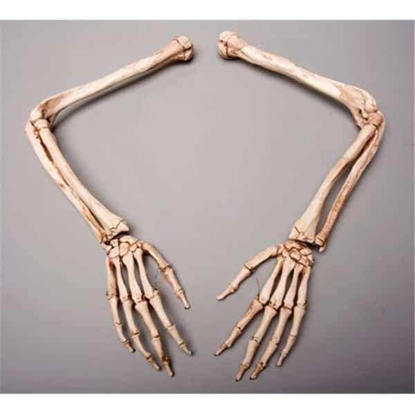 Skeletons and More SM370DLA Aged Left Skeleton Arm