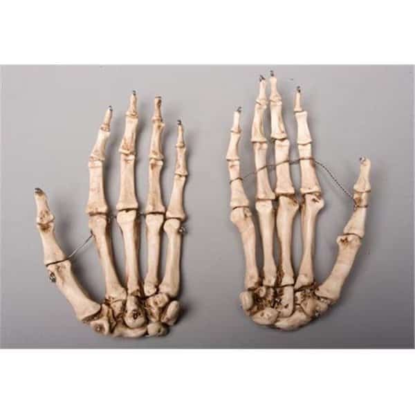 Skeletons and More SM376DLA Aged Left Skeleton Hand