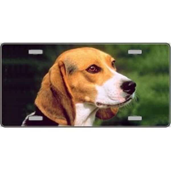 Beagle Dog Pet Novelty License Plates- Full Color Photography License Plates