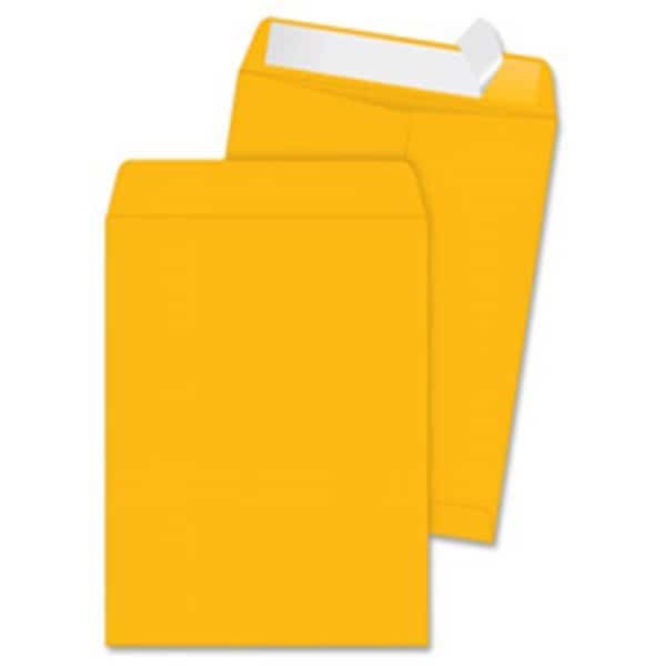 Redi Strip Catalog EnvelopesHigh Bulk9 in. x 12 in.250-CTKFT, 250PK