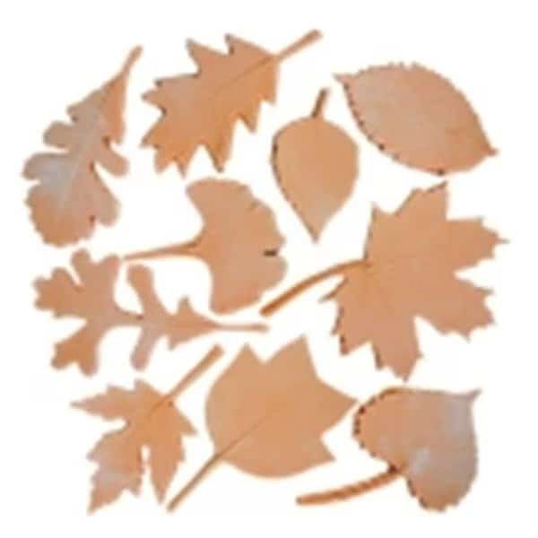 Sax Leaf Nature Impression Set 10