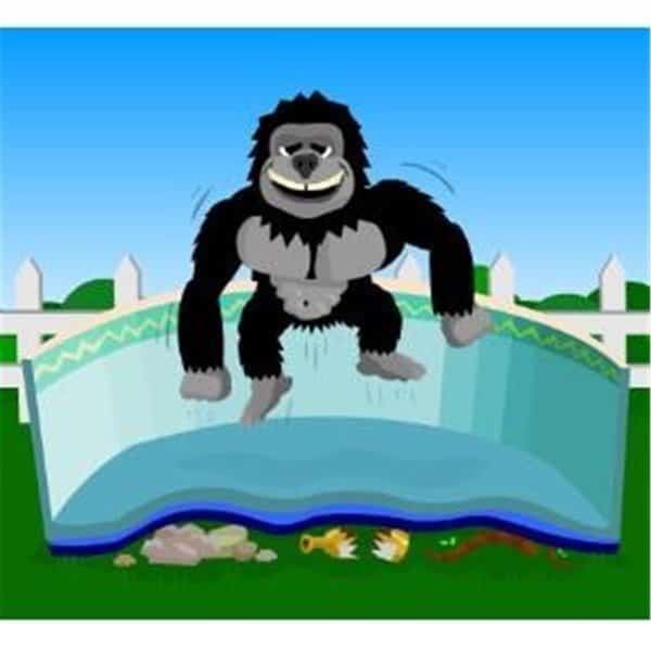 16' x 32' Rect Gorilla Bottom Floor Padding