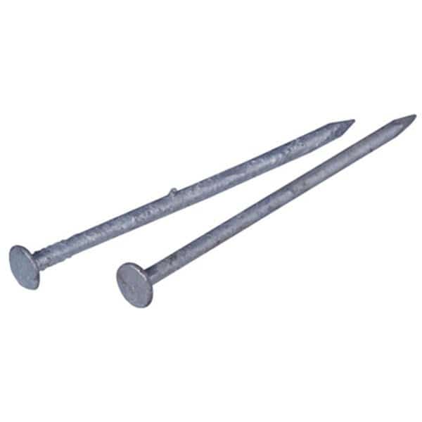Common Nail, 2 in L, 6D, Steel, Galvanized Finish