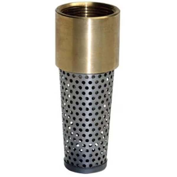 Water Source TFV-200NL 2 in. Brass; Foot Valve