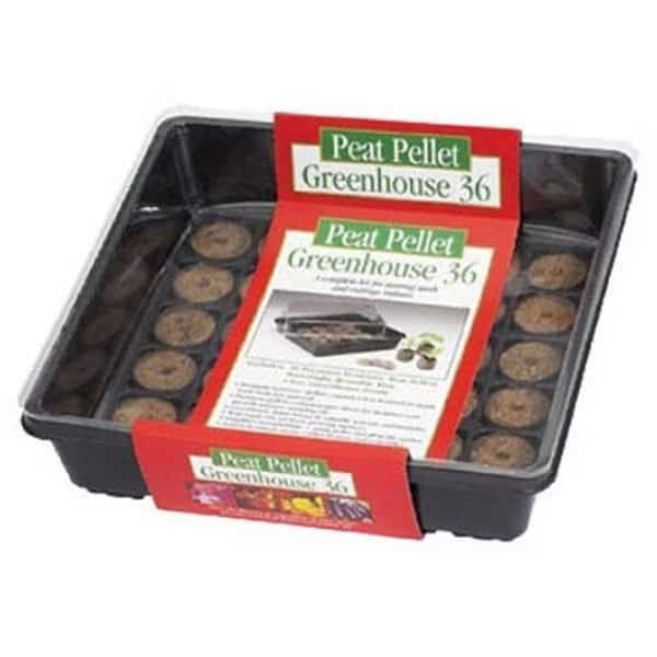 Plantation Products PO36 11 x 11 Green House 36 Peat Pellets
