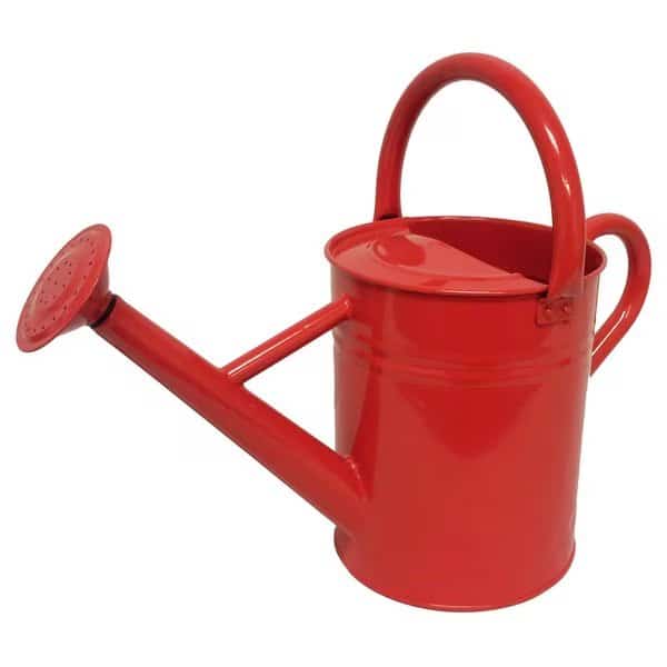 WATERING CAN 1GAL HERITG SCRLT