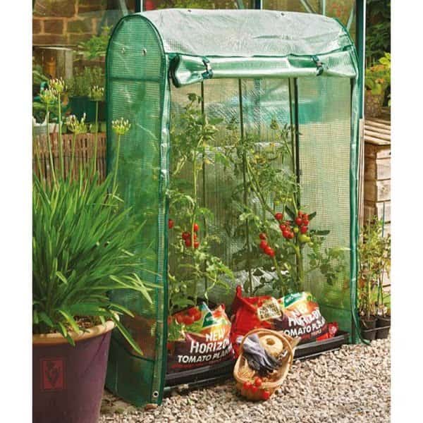 PREMIUM TOMATO GROWHOUSE