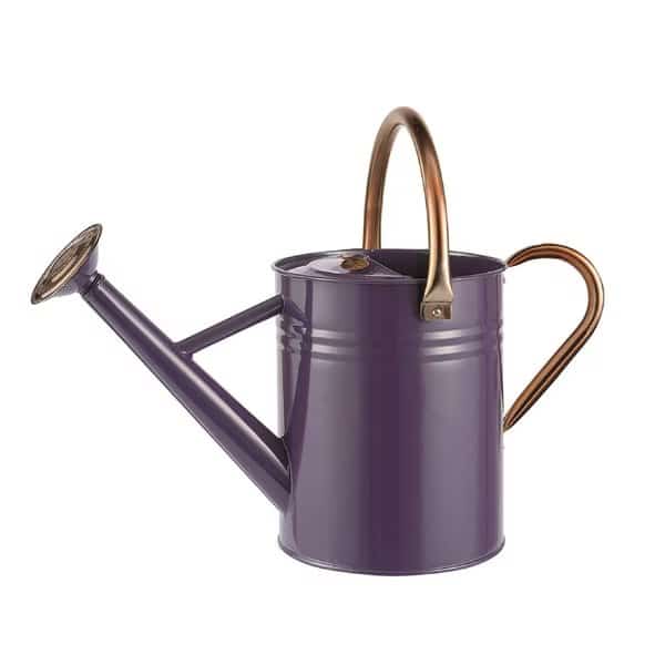 1 GALLON WATER CAN DEEP VIOLET