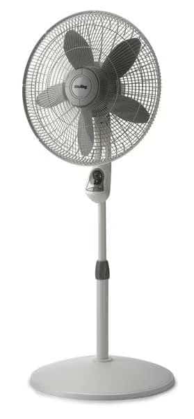 18" Blade Dia Pedestal Fan, Oscillating, 3 Speeds, 120VAC, White, Remote Control