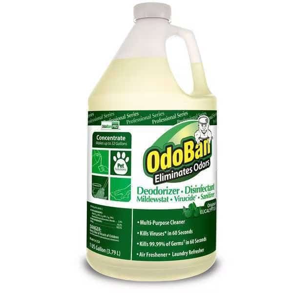 Deodorizer, Size 1 gal., Eucalyptus, PK4