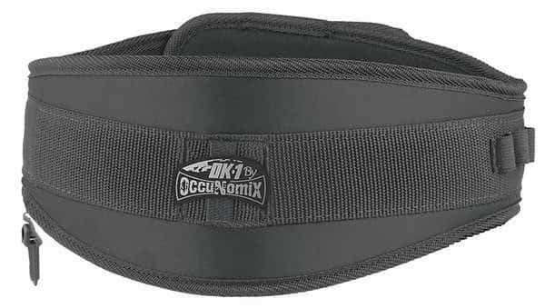 Back Support, Memory Foam Core, L