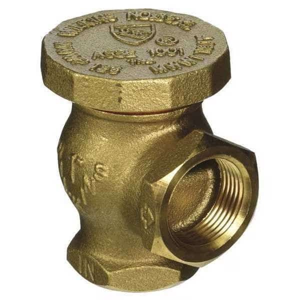 Vacuum Breaker, 3/4 In., FNPT x FNPT