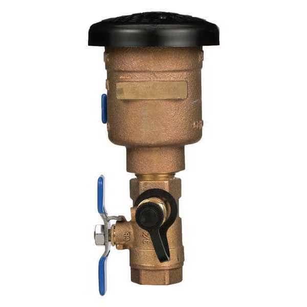 Pressure Vacuum Breaker Assembly (PVB) 1"