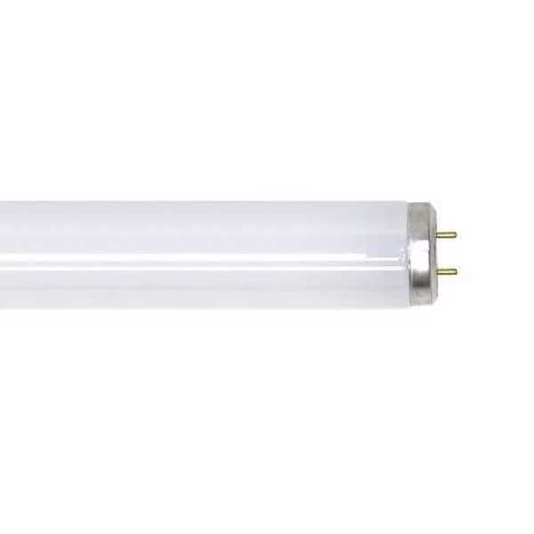 Fluorescent Lamp, T12, Daylight, 6500K, CURRENT, Mfr# F20T12/D/ECO
