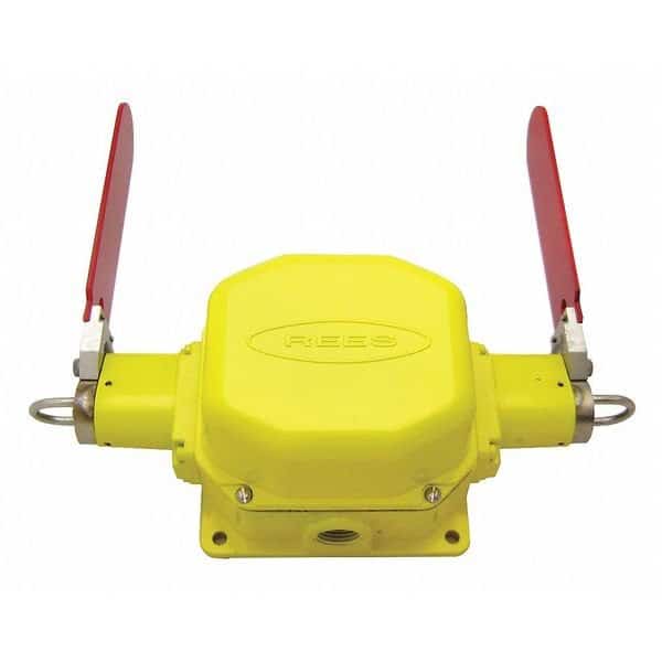 Cbl Switch Dble Flag Indicator, 1 NO/1 NC, REES, Mfr# 04954212