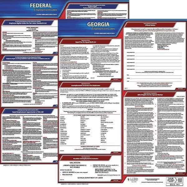 LaborLaw Poster, Fed/STA, GA, ENG, 20inH, 1yr