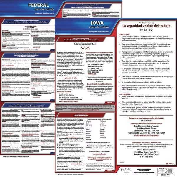 Labor Law Poster, Fed/STA, IA, SP, 20inH, 1yr
