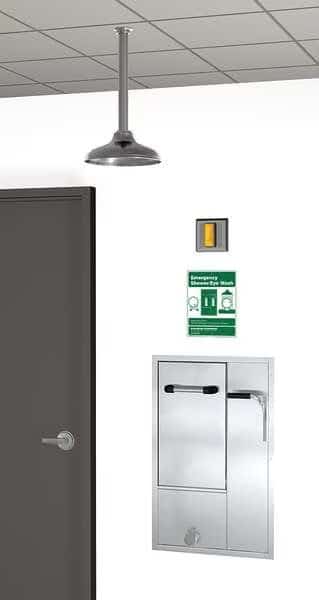 Drench Shower With Face/Eyewash, Silver