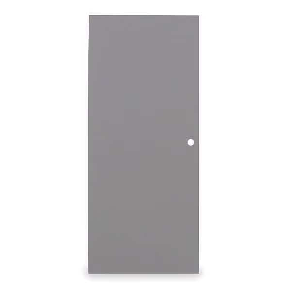 Steel Door, Non Handed, 84 in H, 36 in W, 1 3/4 in Thick, 18 Gauge Steel, Type: 1
