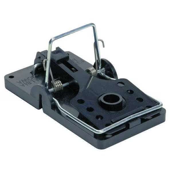 Rat Trap, 5-1/2 in. L, 3 in. W
