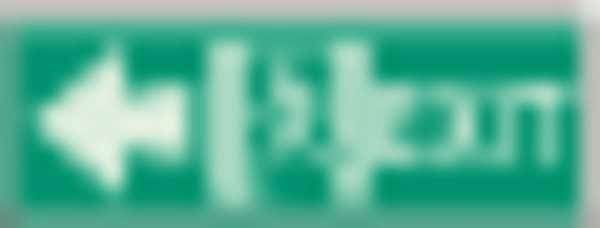 Exit Sign, Polyester, 14" W, 5" H, Exit, Green, White