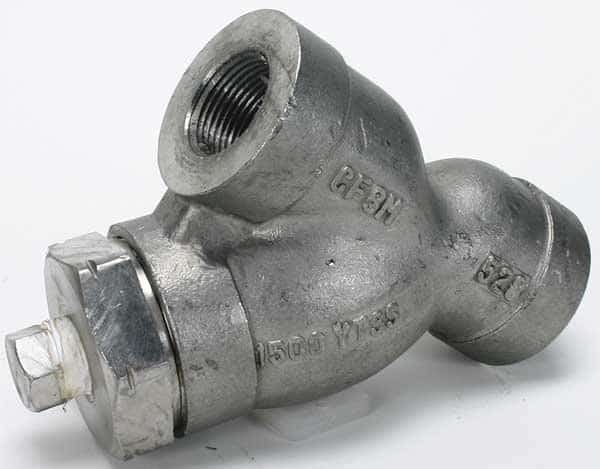 Y Strainer, 1" Pipe, FNPT x FNPT, Stainless Steel, 3500 psi at 100 Degrees F