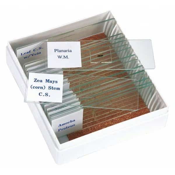 Slide Set, Prepared, Biology, Premiere, Mfr#: PS16