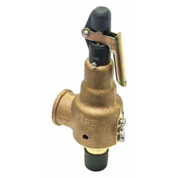 Safety Relief Valve, 1in.x1-1/4in., 30 psi