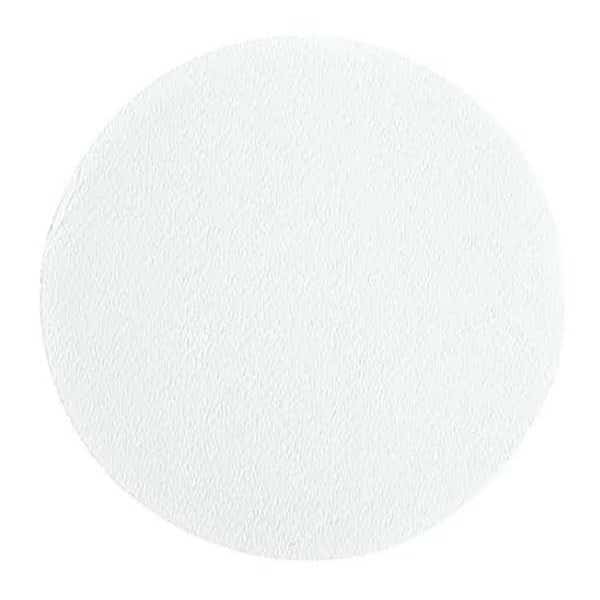 Glass Microfiber Filter, GF/B, 21mm, PK100, CYTIVA WHATMAN, Mfr# 1821-021