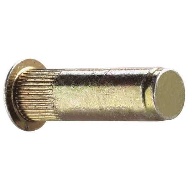 Rivet Nut, 1/4"-20 Thread Size, 0.5 in Flange Dia., 0.58 in L, Steel, 25 PK