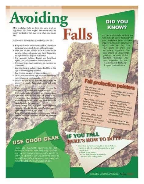 Safety Poster, Falls Protection, 22 in H x, 17 in W, Paper