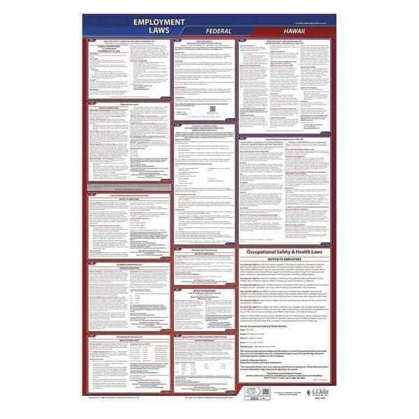 LaborLaw Poster, Fed/STA, HI, ENG, 26inH, 3yr