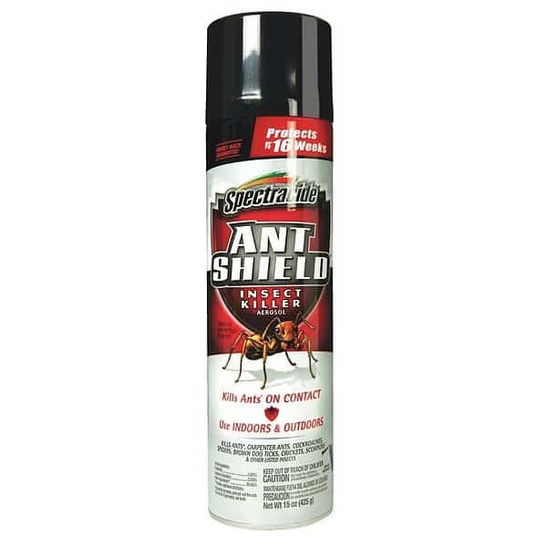 15 oz. Aerosol Indoor/Outdoor Ant Killer