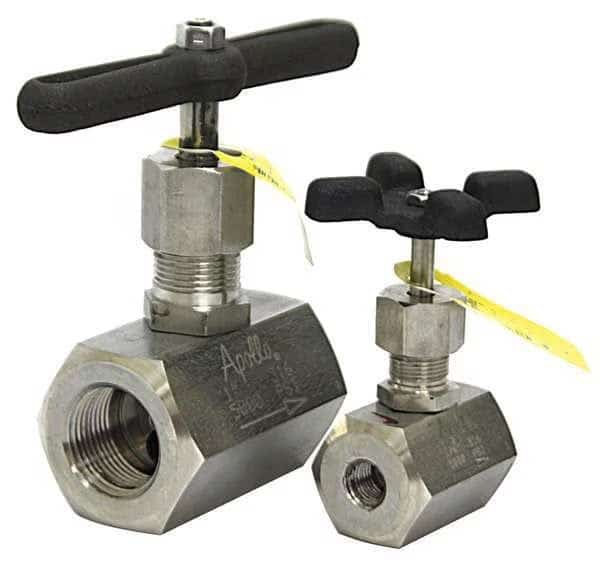 Globe Valve, 3/4 In., FNPT, 316 SS
