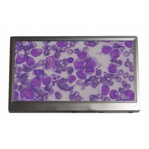 Bioview Microscope Camera And Monitor