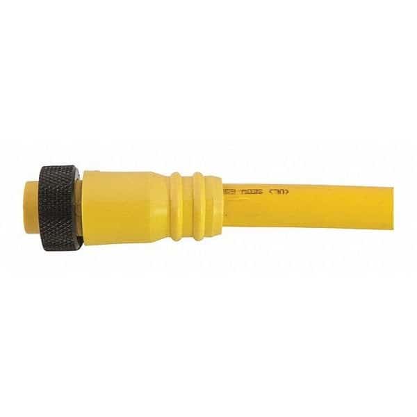 Cordset, Mini, PVC, Female, 8 Pole, 20 ft., REMKE, Mfr# 108A0200AP
