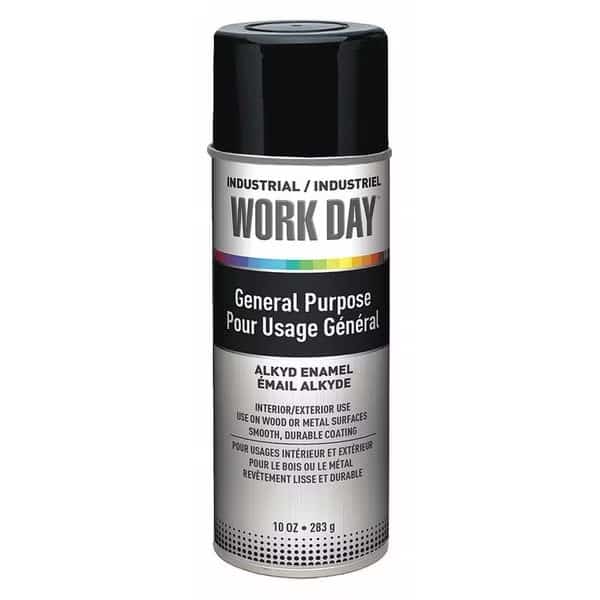 Spray Paint, Black, Gloss, Solvent, 10 oz