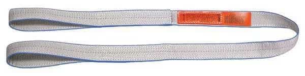 Web Sling, Type 3, 9 ft L, 1 in W, Polyester, Silver