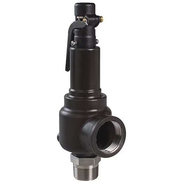 Safety Valve, 200 psi, 1 MNPT x 1 FNPT SRS