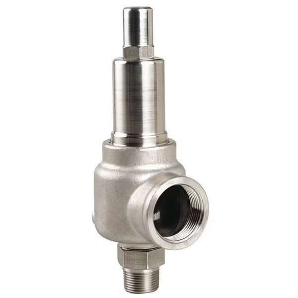 Sfty Vlv, 100 psi, 1 MNPT x 1 FNPT Series