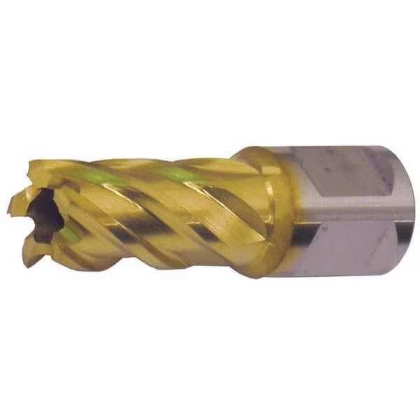 Annular Cutter, M42 TiN, 13/16 Dia, 2 D