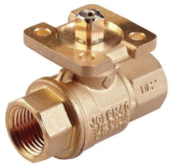 Ball Valve, 2 Way, SS Trim, (F)NPT 1/2