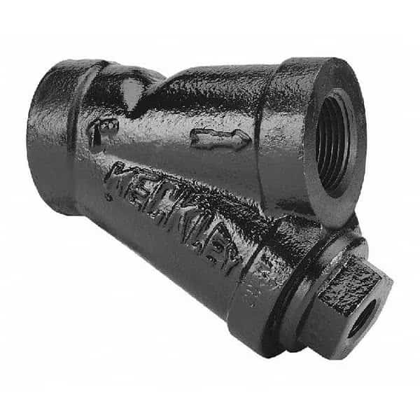 Y Strainer, 1/4" Pipe, Threaded, Cast iron