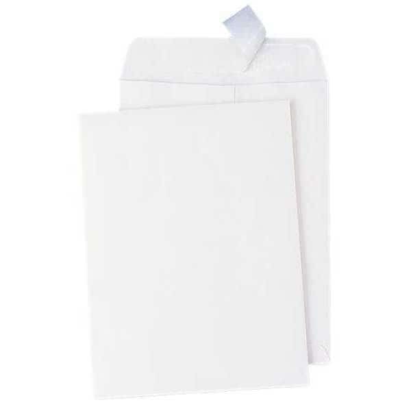 Catalog Envelope, 13in.H, Paper, PK100