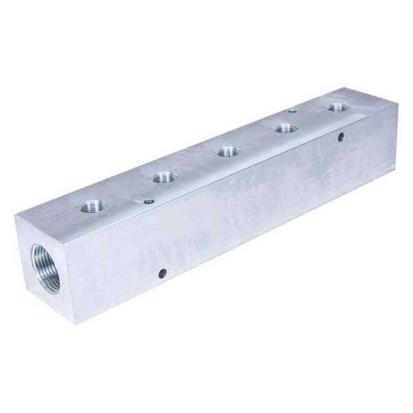 Manifold, 5 Outlets, Outlet Size 1/2", 12"L