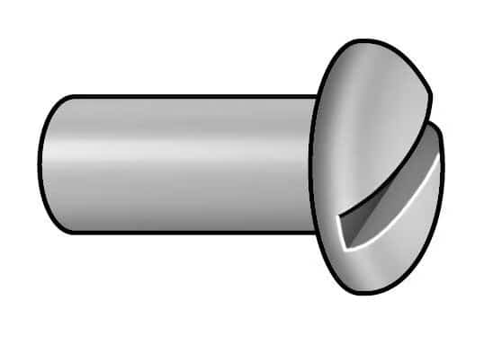 Barrel Bolt, 1/4"-20, 19/32 in Brl Lg, 3/8 in Brl Dia, Stainless Steel Plain, 5 PK