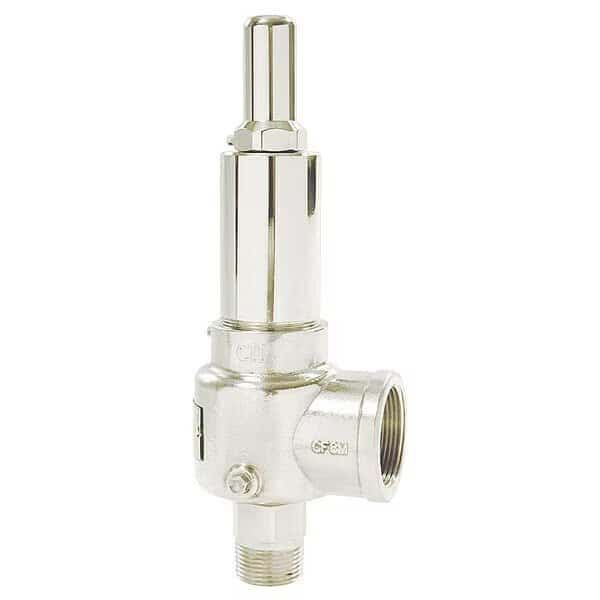POP Safety Valve, 1-1/4 x 2 In, 350 psi