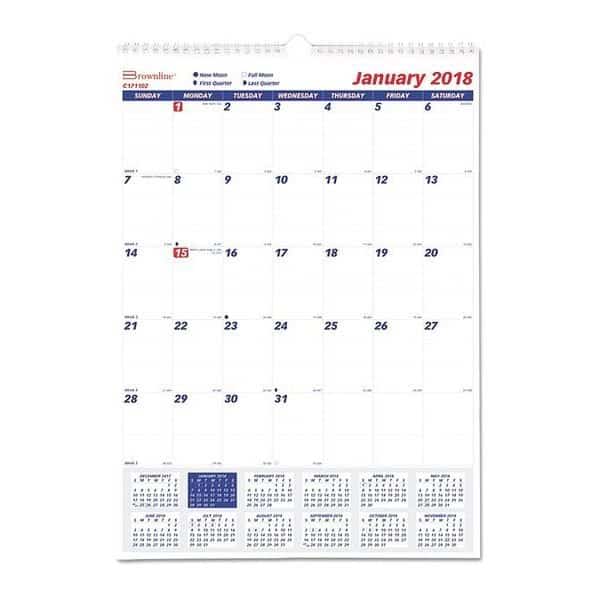 Twin-Wirebound Wall Calendar, One Month per Page, 12 x 17, White Sheets, 12-Month (Jan to Dec): 2025